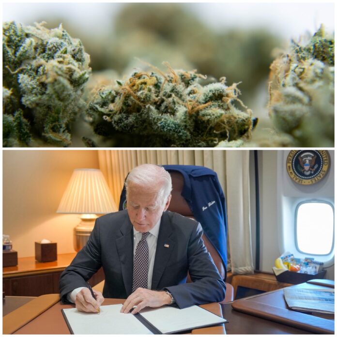 Biden Pardons Simple Marijuana Possession