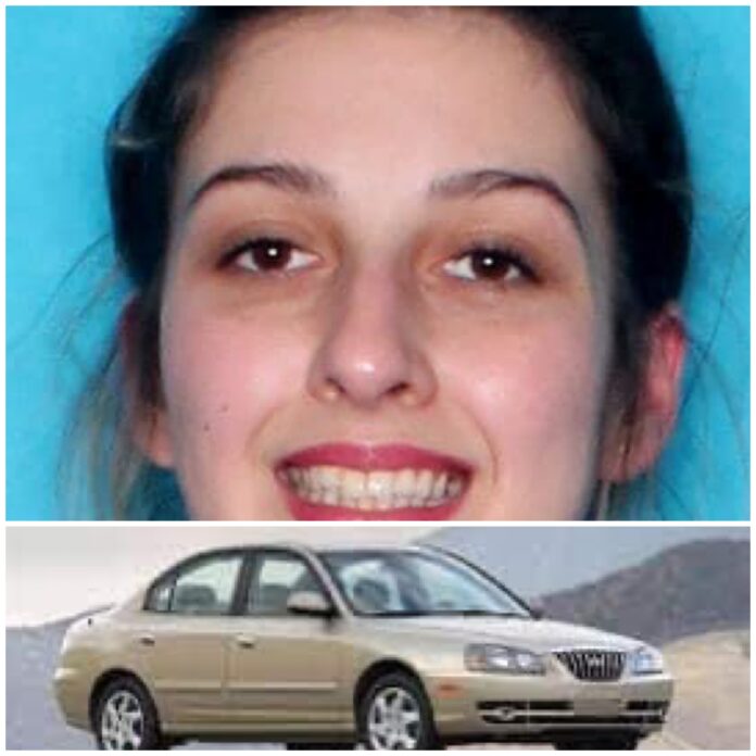 SLPSO: Be on the look for a gold Hyundai 2006