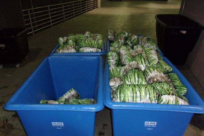 CBP: CBP Officers Seized 2.2 Tons of Narcotics in 2 Days Hard narcotics worth $24 million seized (photo CBP)