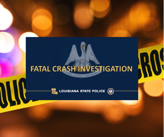 Two Juveniles Killed in Grant Parish Crash