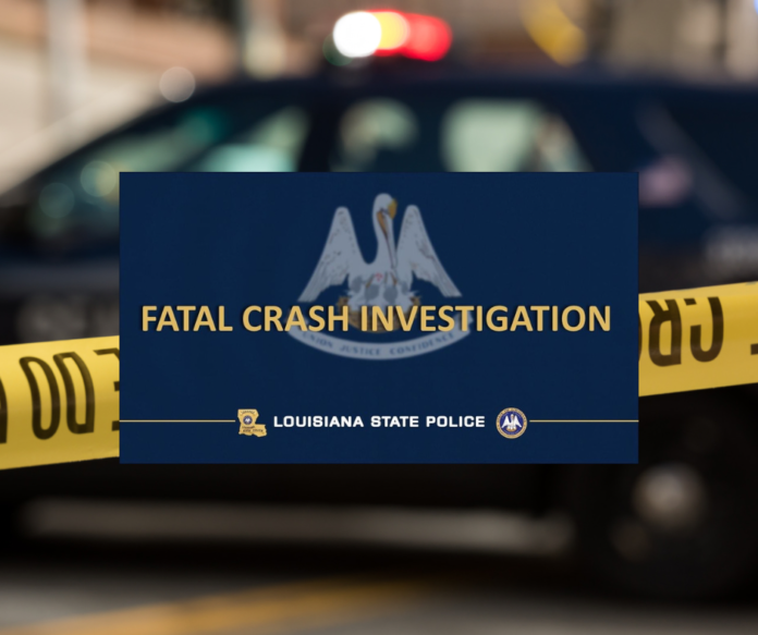 Pedestrian killed in Rapides Parish crash