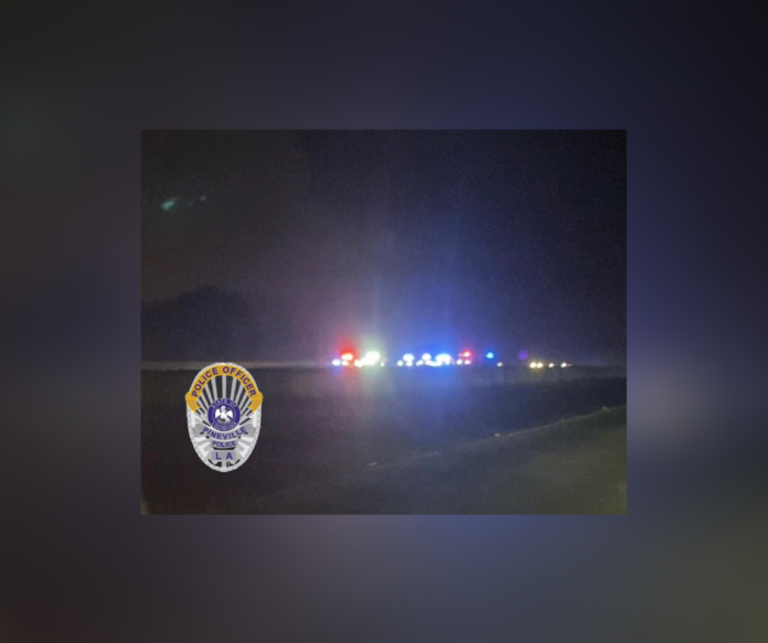 Pedestrian struck and killed on the Pineville side of the Purple Heart Bridge