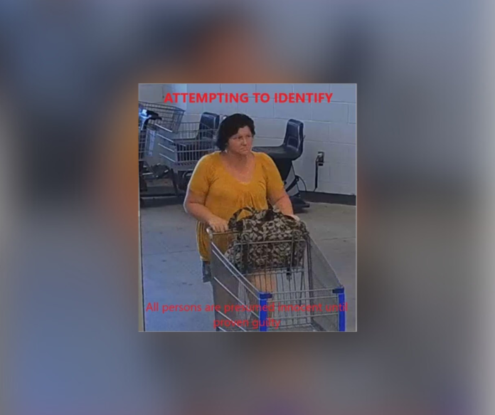 Pineville PD needs your assistance identifying a person suspected of theft (Source: PPD)