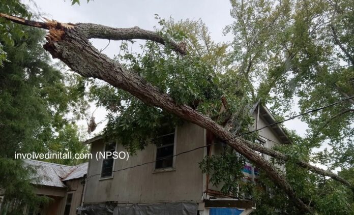 Natchitoches: Storm damage in Cloutierville