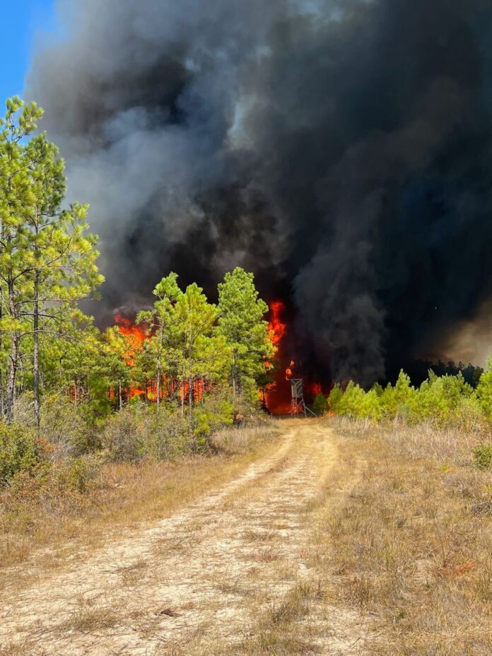 Active wildfire on Lake Gorum Road near Gorum