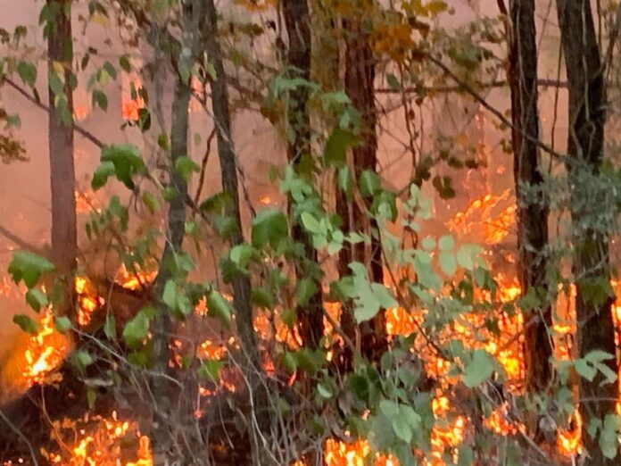 Gorum Wildfire Update: Fire Contained (Source: NPSO)