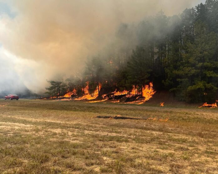 Fire On Hwy 473 (Source: SPSO)