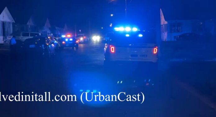 Alexandria: Kelly Street Shooting