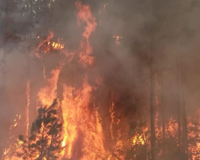 Contained: Claiborne Firing Range Fire (Source: OHFD)