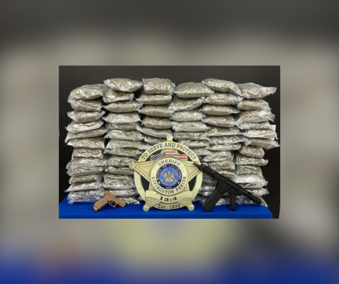 Livingston Parish: 90 pounds of marijuana seized; man arrested