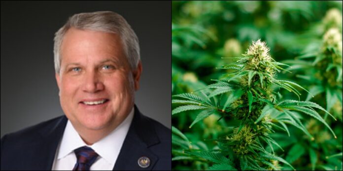 Pulling weeds: Legislators make big changes to Louisiana’s cannabis industries