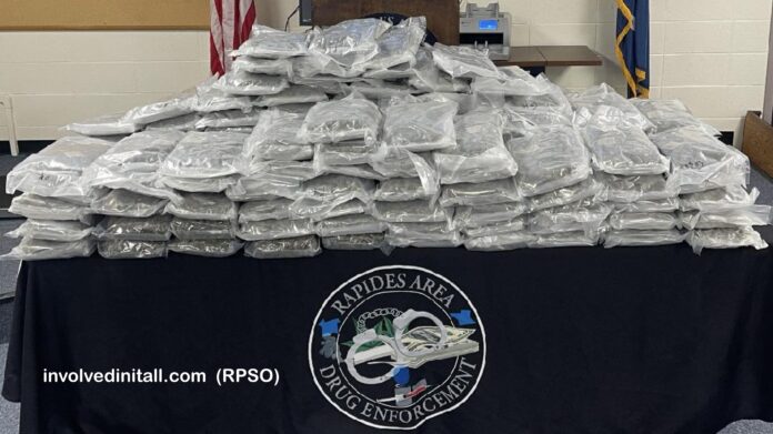 Traffic Stop Leads to Major Marijuana Bust by Rapides Area Drug Enforcement Unit (Image source: RPSO)