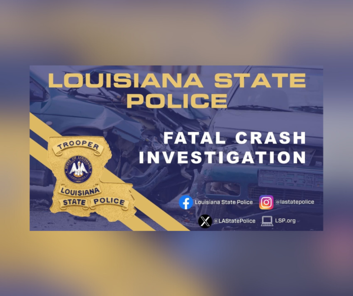 Florien Man Killed in Vernon Parish Crash on Highway 28 West