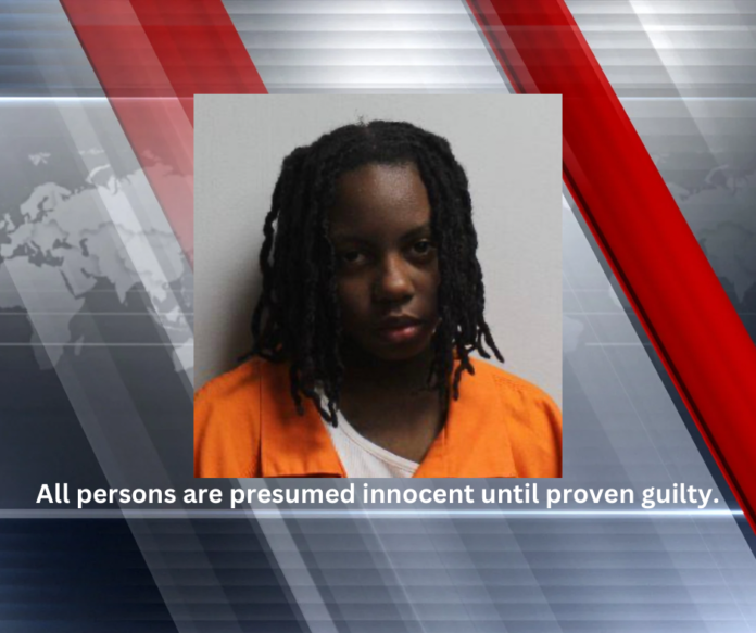 Arrest Made for Manslaughter in Alexandria MacArthur Drive Beating, Two Previous Arrests This Year (RPSO: April Arrest)