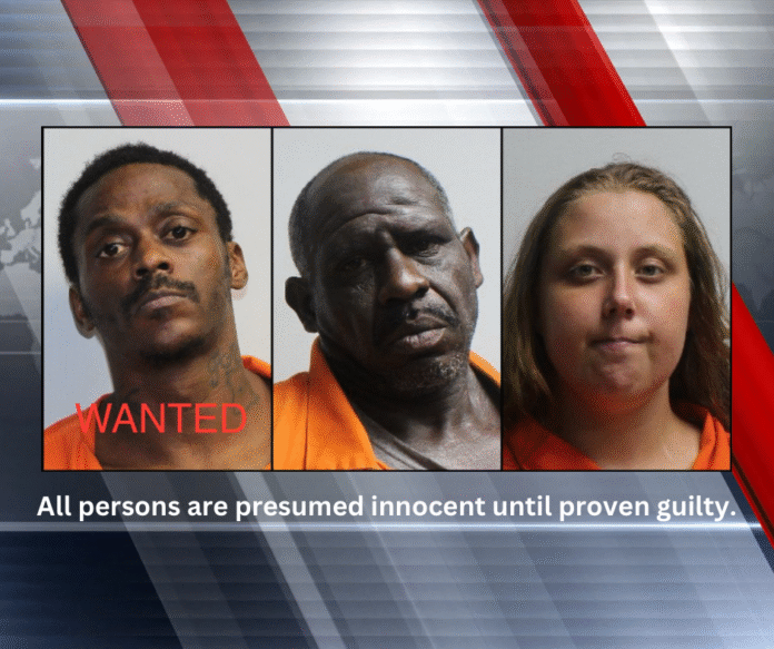 Arrests Made in Alexandria Burglary; One Suspect Still Wanted