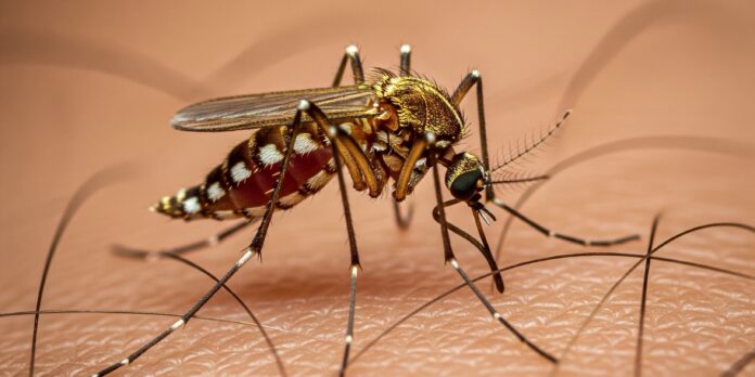 First Human Case of West Nile Virus Confirmed in Orleans Parish
