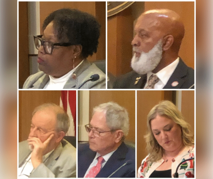 The Community Won the Map Battle. The Mayor Won the Council Control Battle.