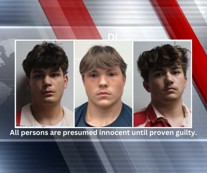 Three 17-Year-Olds Arrested Following Pineville Rape Investigation