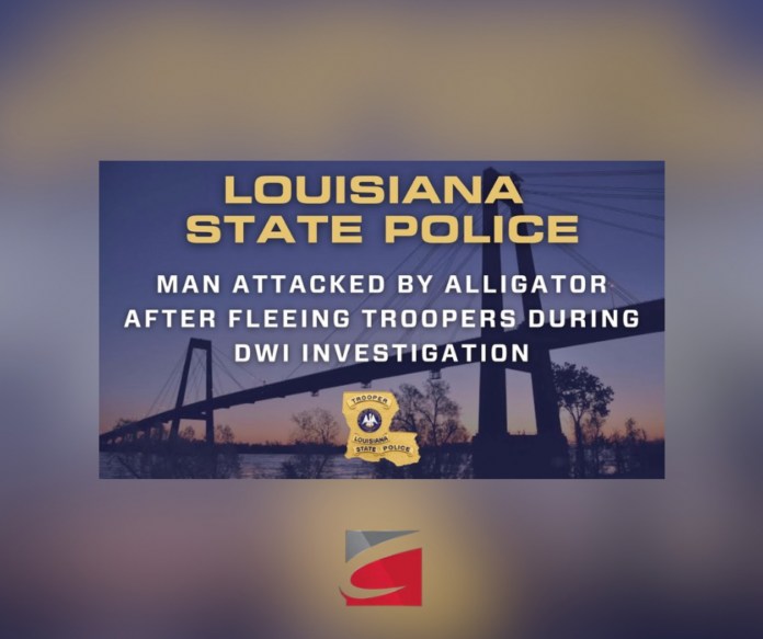 Man Attacked by Alligator After Fleeing Troopers During DWI Investigation