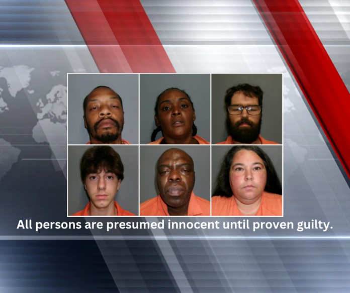 Vernon Parish Sheriff's Office Reports Multiple Arrests June 12-13