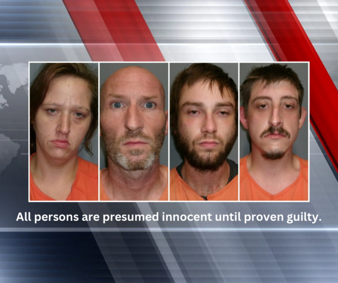 Vernon Parish Sheriff's Office Reports Four Arrests | June 18, 2026