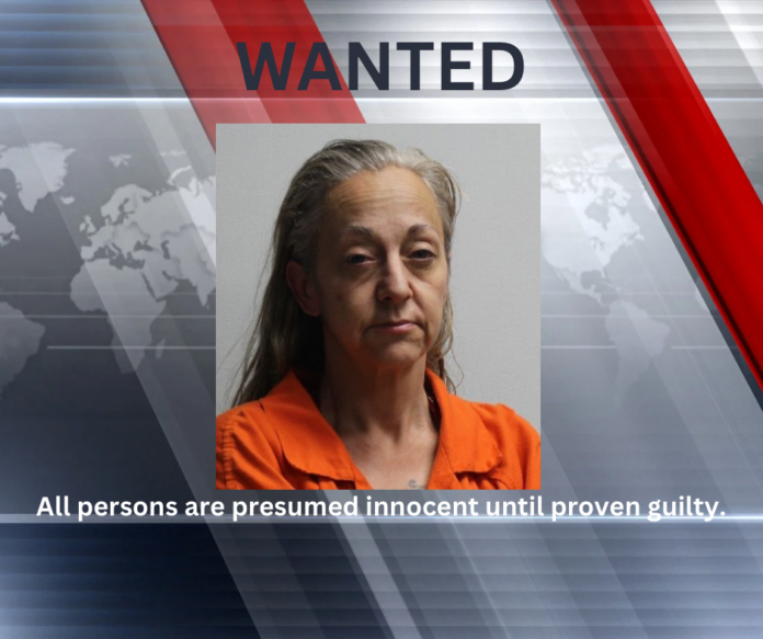 RPSO Seeks Alexandria Woman Accused of Attempted Bank Fraud